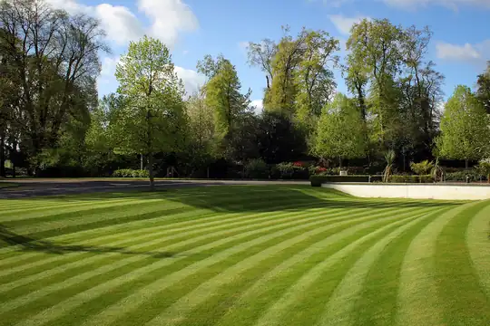 Well-maintained residential lawn serviced by JEM Property Maintenance in Winnipeg